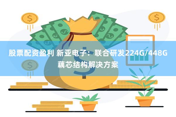 股票配资盈利 新亚电子：联合研发224G/448G藕芯结构解决方案
