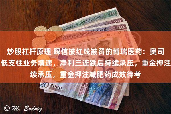炒股杠杆原理 踩信披红线被罚的博瑞医药：奥司他韦需求下滑拉低支柱业务增速，净利三连跌后持续承压，重金押注减肥药成效待考