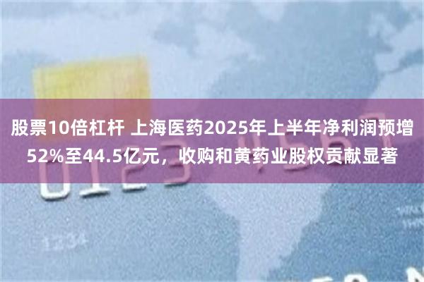 股票10倍杠杆 上海医药2025年上半年净利润预增52%至44.5亿元，收购和黄药业股权贡献显著