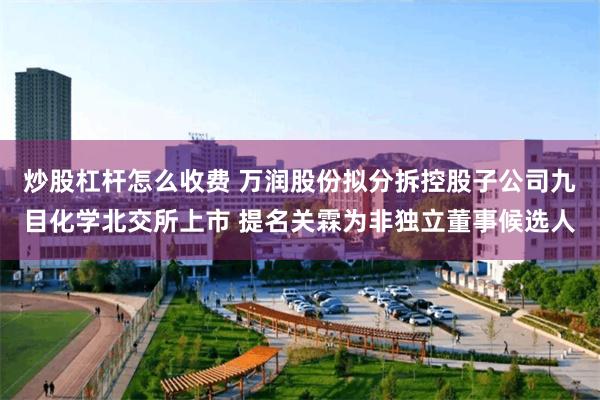 炒股杠杆怎么收费 万润股份拟分拆控股子公司九目化学北交所上市 提名关霖为非独立董事候选人