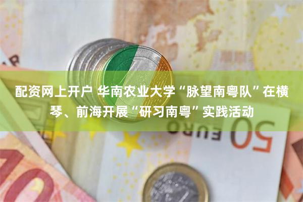 配资网上开户 华南农业大学“脉望南粤队”在横琴、前海开展“研习南粤”实践活动