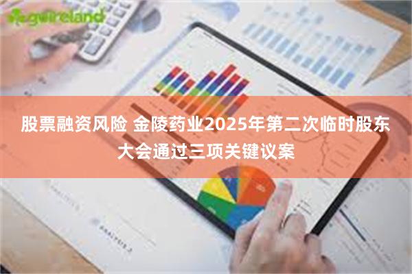 股票融资风险 金陵药业2025年第二次临时股东大会通过三项关键议案