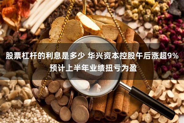 股票杠杆的利息是多少 华兴资本控股午后涨超9% 预计上半年业绩扭亏为盈