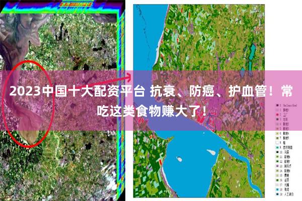 2023中国十大配资平台 抗衰、防癌、护血管！常吃这类食物赚大了！