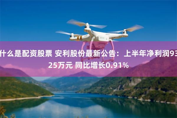 什么是配资股票 安利股份最新公告：上半年净利润9325万元 同比增长0.91%