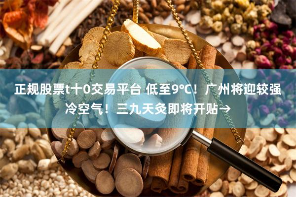 正规股票t十0交易平台 低至9℃！广州将迎较强冷空气！三九天灸即将开贴→