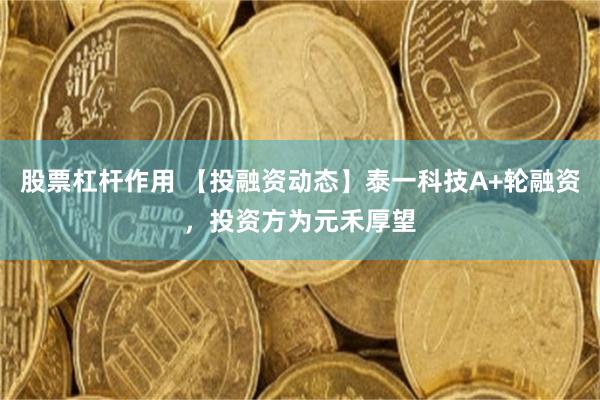 股票杠杆作用 【投融资动态】泰一科技A+轮融资，投资方为元禾厚望