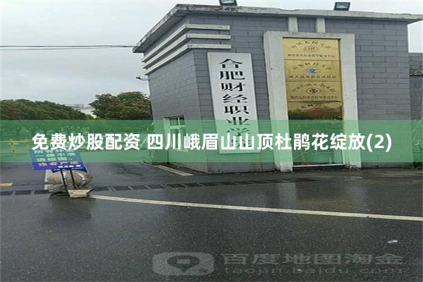 免费炒股配资 四川峨眉山山顶杜鹃花绽放(2)