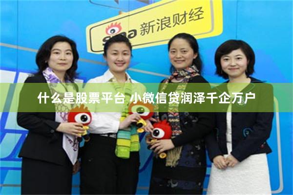 什么是股票平台 小微信贷润泽千企万户