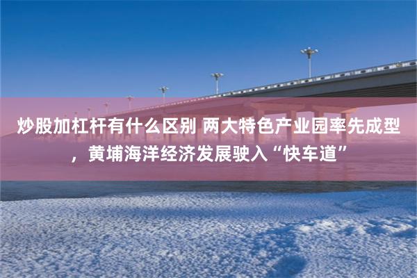 炒股加杠杆有什么区别 两大特色产业园率先成型，黄埔海洋经济发展驶入“快车道”
