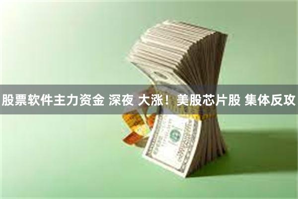 股票软件主力资金 深夜 大涨!美股芯片股 集体反攻