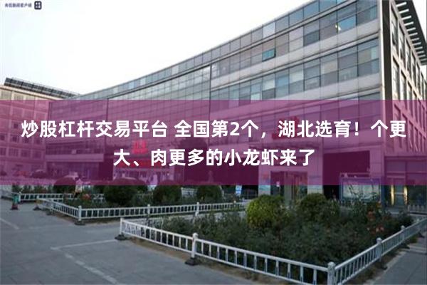 炒股杠杆交易平台 全国第2个，湖北选育！个更大、肉更多的小龙虾来了