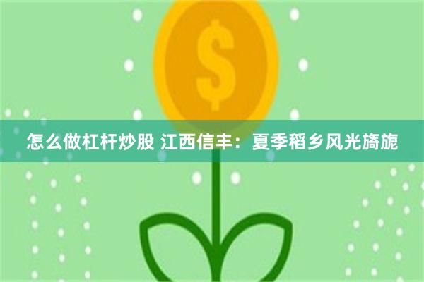 怎么做杠杆炒股 江西信丰：夏季稻乡风光旖旎