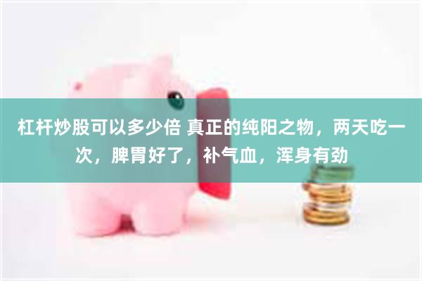 杠杆炒股可以多少倍 真正的纯阳之物，两天吃一次，脾胃好了，补气血，浑身有劲