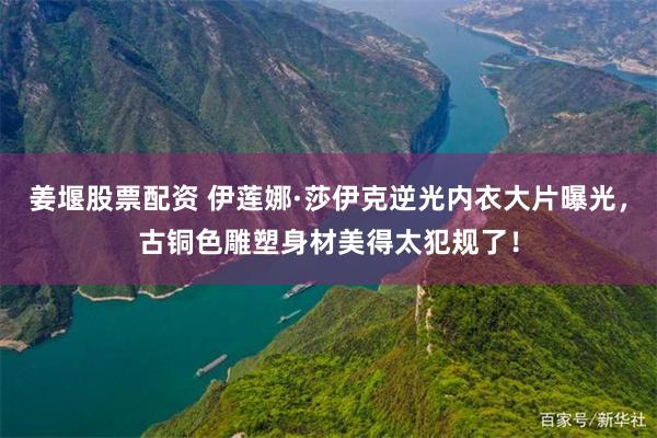 姜堰股票配资 伊莲娜·莎伊克逆光内衣大片曝光，古铜色雕塑身材美得太犯规了！