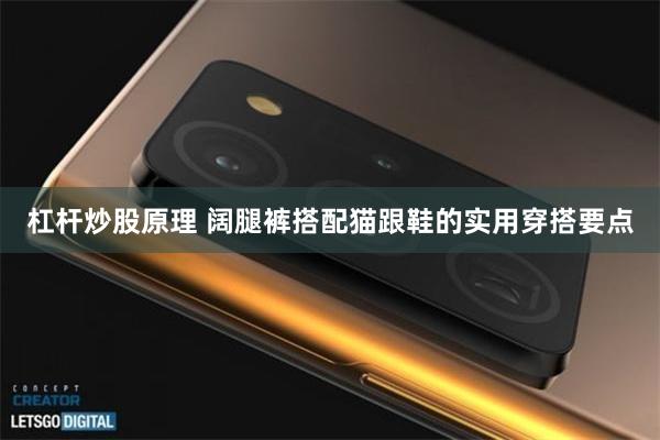 杠杆炒股原理 阔腿裤搭配猫跟鞋的实用穿搭要点