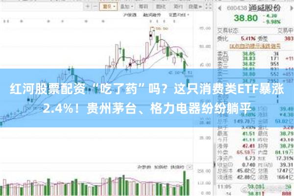 红河股票配资 “吃了药”吗？这只消费类ETF暴涨2.4%！贵州茅台、格力电器纷纷躺平