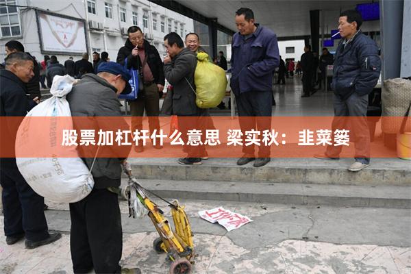 股票加杠杆什么意思 梁实秋：韭菜篓