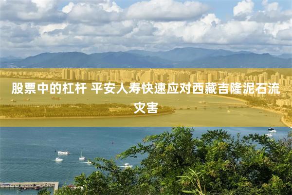 股票中的杠杆 平安人寿快速应对西藏吉隆泥石流灾害