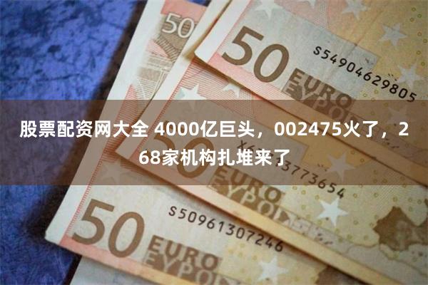 股票配资网大全 4000亿巨头，002475火了，268家机构扎堆来了