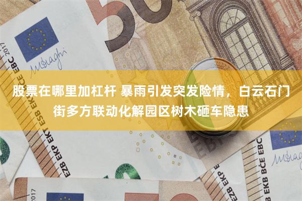 股票在哪里加杠杆 暴雨引发突发险情，白云石门街多方联动化解园区树木砸车隐患