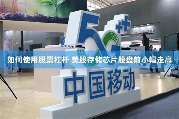 如何使用股票杠杆 美股存储芯片股盘前小幅走高