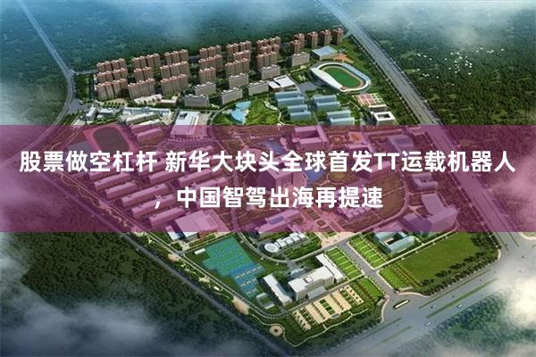 股票做空杠杆 新华大块头全球首发TT运载机器人，中国智驾出海再提速