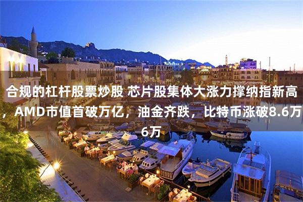 合规的杠杆股票炒股 芯片股集体大涨力撑纳指新高，AMD市值首破万亿，油金齐跌，比特币涨破8.6万