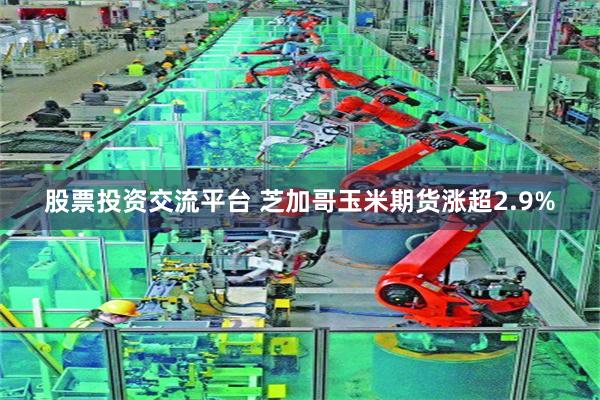 股票投资交流平台 芝加哥玉米期货涨超2.9%