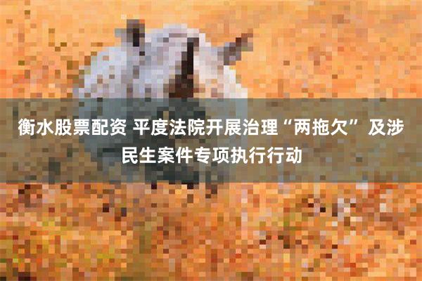 衡水股票配资 平度法院开展治理“两拖欠” 及涉民生案件专项执行行动