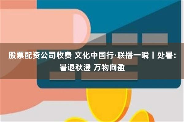 股票配资公司收费 文化中国行·联播一瞬丨处暑：暑退秋澄 万物向盈