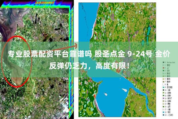 专业股票配资平台靠谱吗 股圣点金 9-24号 金价反弹仍乏力，高度有限！