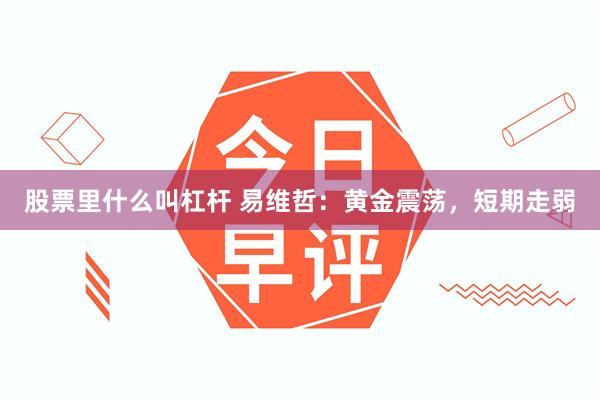 股票里什么叫杠杆 易维哲:黄金震荡,短期走弱