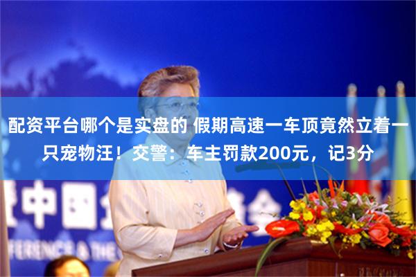 配资平台哪个是实盘的 假期高速一车顶竟然立着一只宠物汪！交警：车主罚款200元，记3分