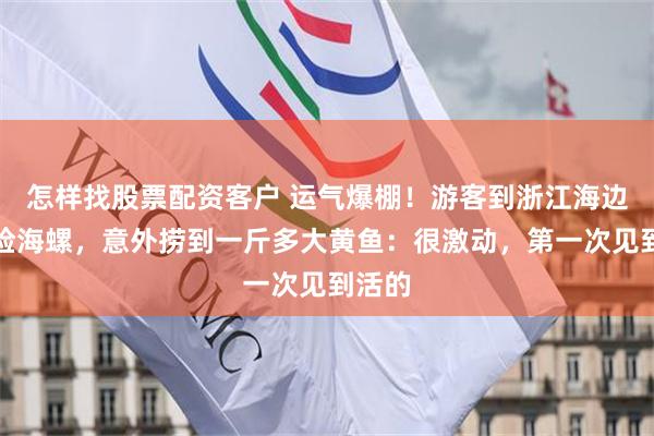 怎样找股票配资客户 运气爆棚！游客到浙江海边赶海捡海螺，意外捞到一斤多大黄鱼：很激动，第一次见到活的