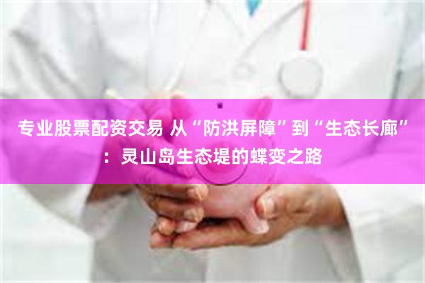 专业股票配资交易 从“防洪屏障”到“生态长廊”：灵山岛生态堤的蝶变之路