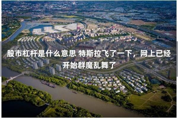 股市杠杆是什么意思 特斯拉飞了一下，网上已经开始群魔乱舞了